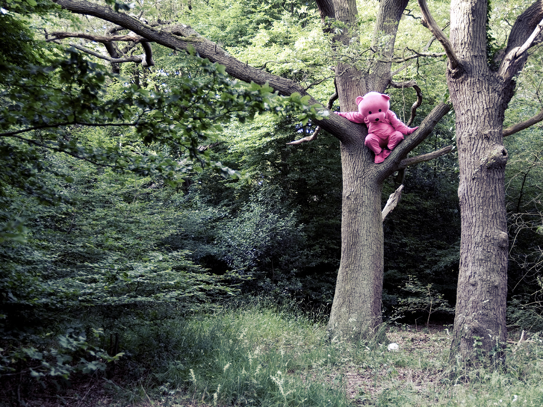 Recollection Of Innocence - Pink Bear Photograph