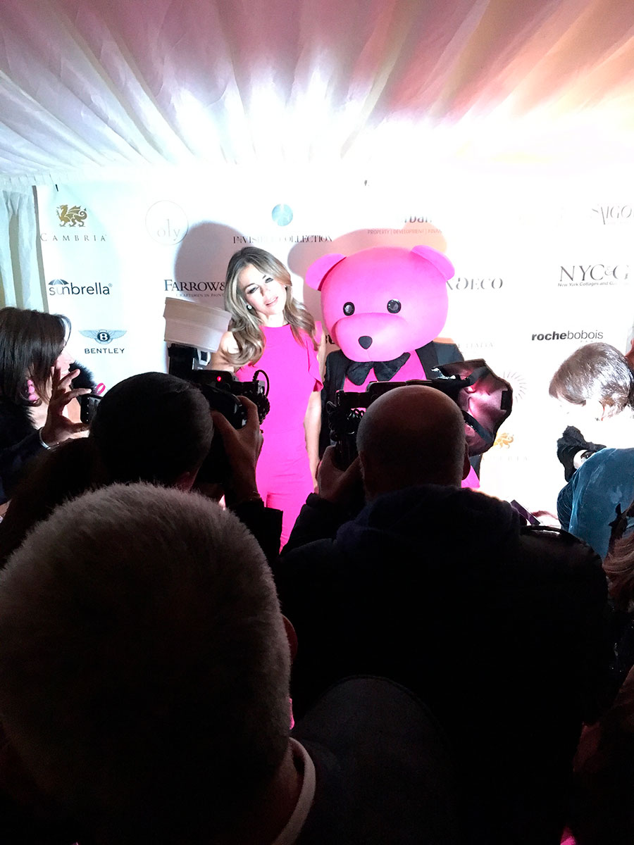 Elizabeth Hurley and The Pink Bear