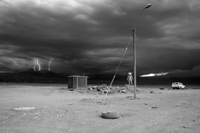 Because I Say So, Photography, 2017, from the I Used To Be A Polar Bear series