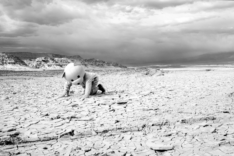 I Need To Find Life Soon, Photography, 2017, from the I Used To Be A Polar Bear series