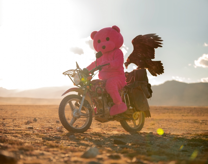 The Eagle Rider, Photography, 2022, from the I Used To Be A Polar Bear series