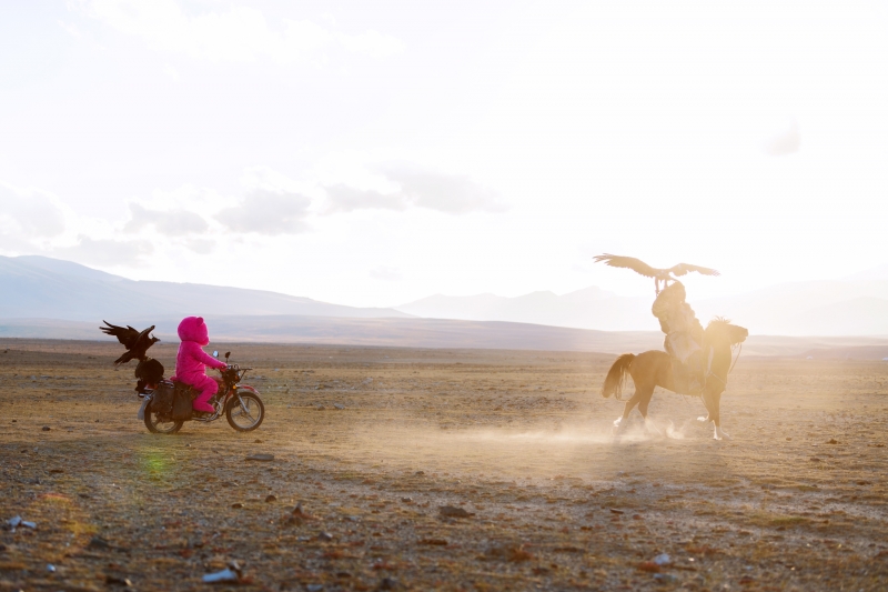 The Balance Of The Past And The Present, Photography, 2022, from the My Little Pony series