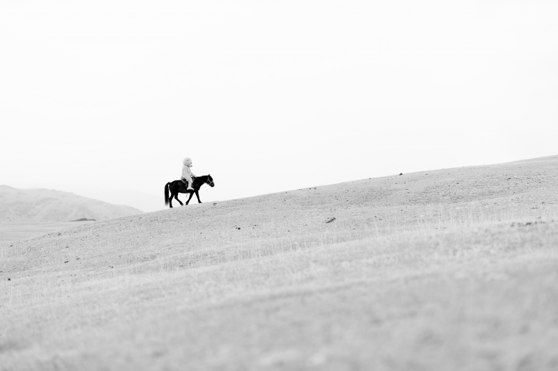 The Ups And Downs, Photography, 2022, from the My Little Pony series