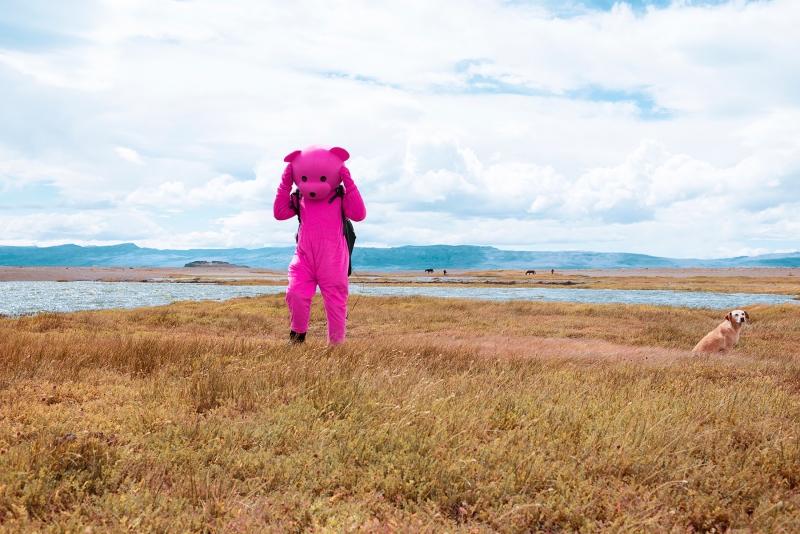 No Longer Friends, Photography, 2017, from the I Used To Be A Polar Bear series
