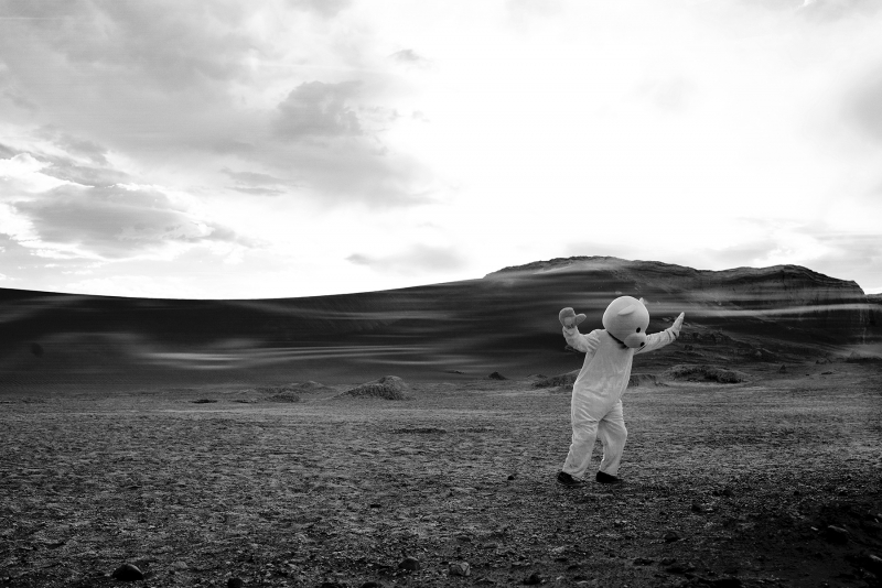 There Is No Way Back, Photography, 2017, from the I Used To Be A Polar Bear series