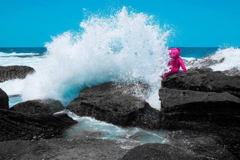 Big Splash, Photography, 2018, from the I Used To Be A Polar Bear series