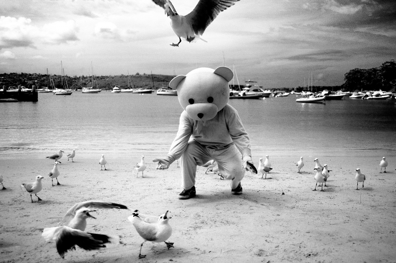 Feed The Birds, Photography, 2018, from the Coming To Town series