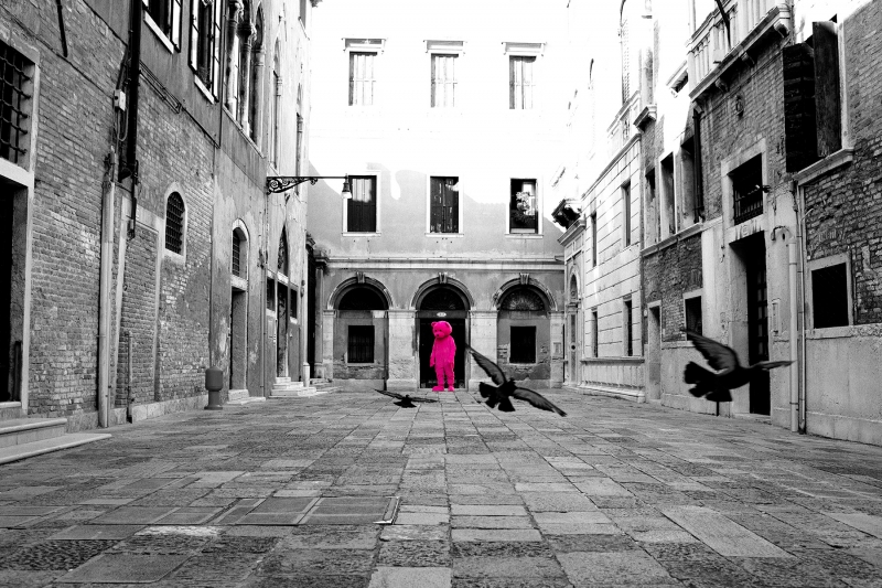 Catch The Pigeon, Photography, 2018, from the Coming To Town series