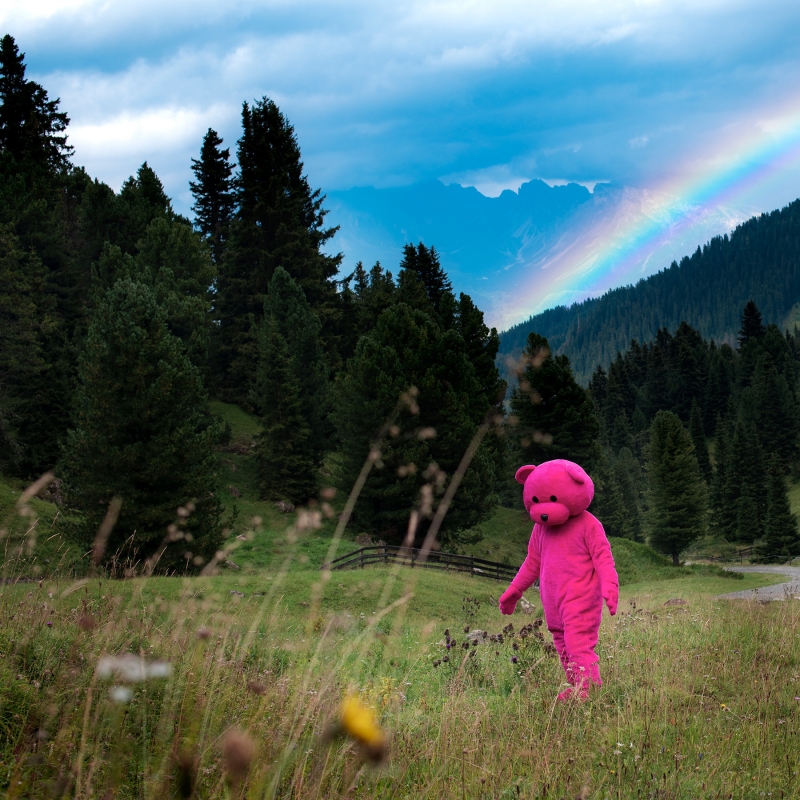 Wish Upon A Rainbow. Though It Probably Wont Come True, Photography, 2018, from the I Used To Be A Polar Bear series