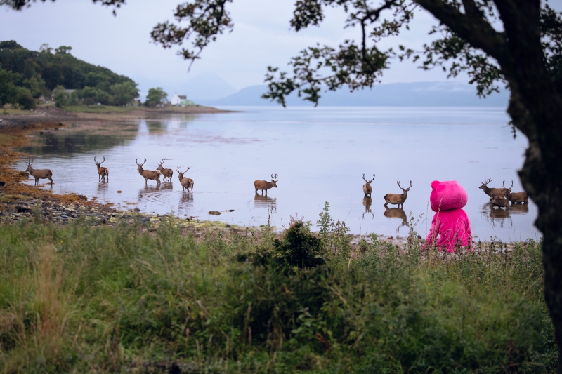 Dear Deer, Photography, 2020, from the The Unconscious Therapy series