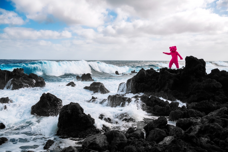 Relentless, Photography, 2021, from the I Used To Be A Polar Bear series
