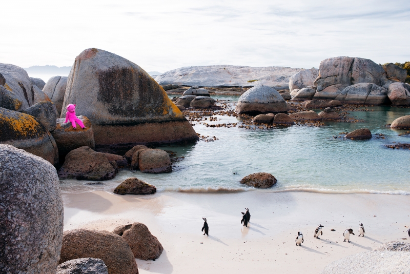 Pingu Meets Pink Bear, Photography, 2017, from the I Used To Be A Polar Bear series