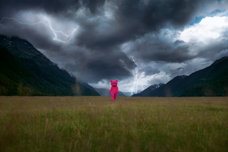 Be Your Own Hero, Photography, 2018, from the I Used To Be A Polar Bear series
