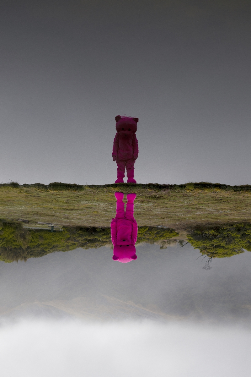 What Once Was, Is Not, Photography, 2018, from the I Used To Be A Polar Bear series
