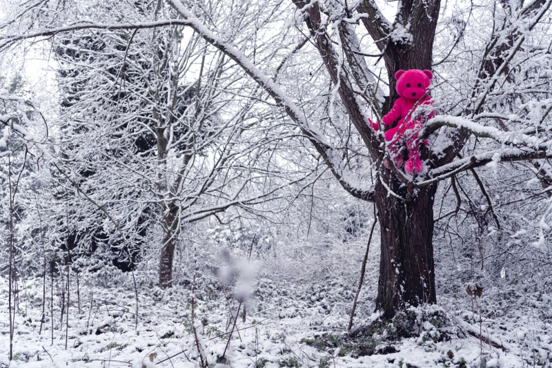 Frozen Habitat, Photography, 2022, from the I Used To Be A Polar Bear series