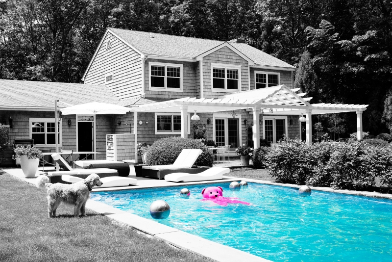 Hamptons Pool Bear, Photography, 2015, from the Coming To Town series
