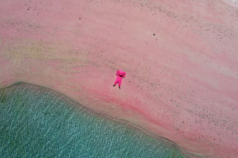 The Pink Bear On The Pink Beach, Photography, 2019, from the I Used To Be A Polar Bear series