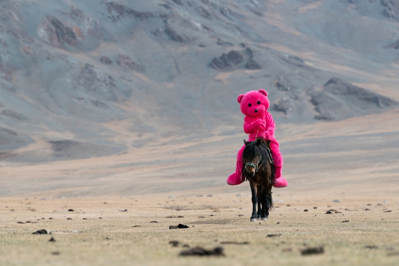 My Little Pony - no 2, Photography, 2022, from the My Little Pony series