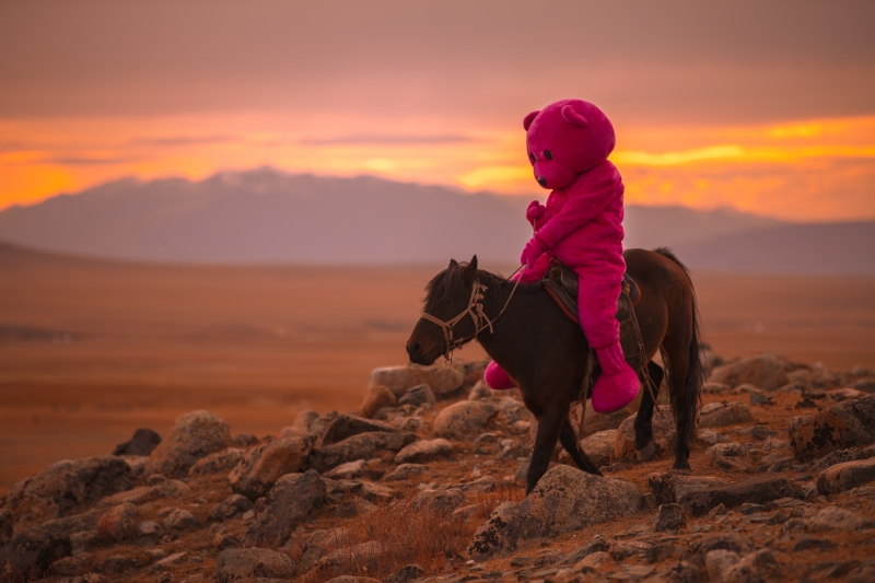My Little Pony, Photography, 2022, from the My Little Pony series