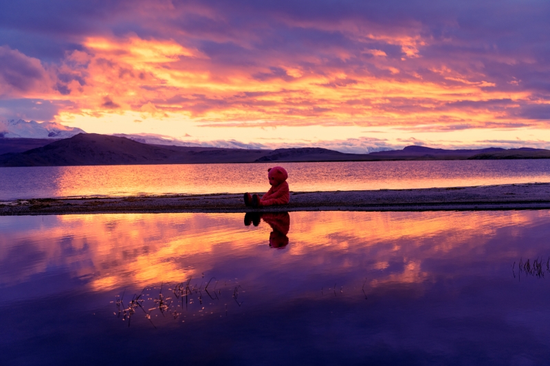 Time To Reflect And Move Forward, Photography, 2022, from the I Used To Be A Polar Bear series