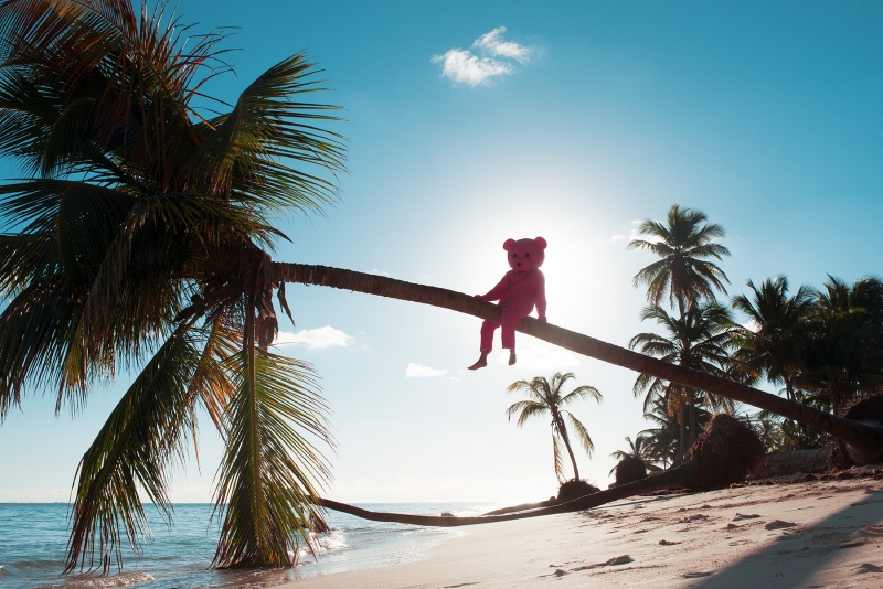 Pink Bear Palm, Photography, 2017, from the I Used To Be A Polar Bear series