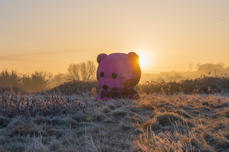 My Head Feels Clear When I Am Outside, Sculpture, 2023, from the The Pink Bear series