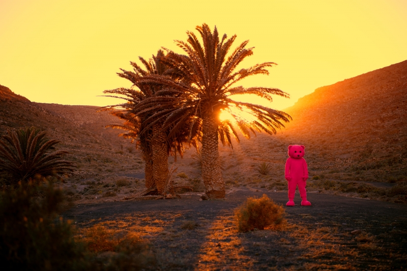 Yellow, Photography, 2021, from the I Used To Be A Polar Bear series