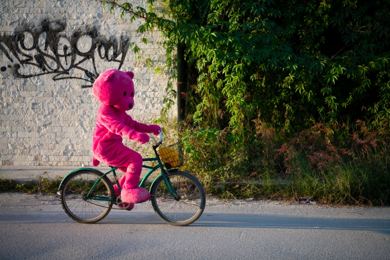 Inner City Jungle, Photography, 2021, from the Coming To Town series