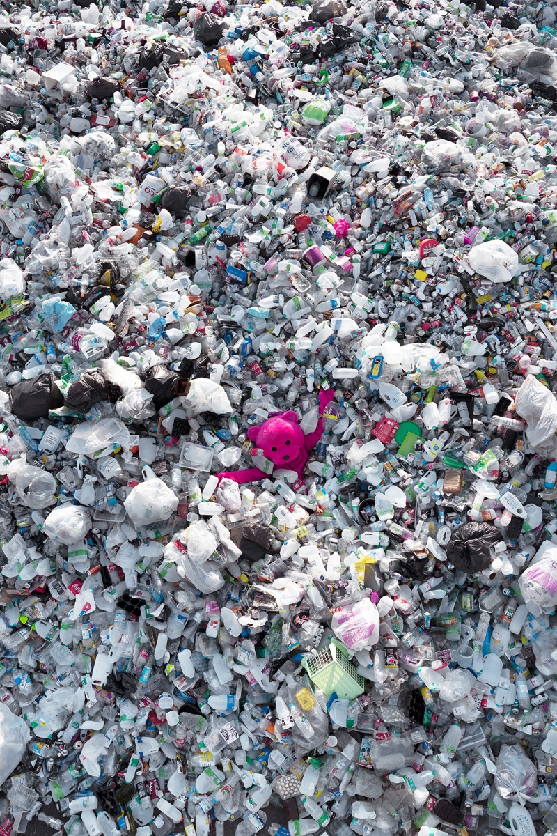 The Plastic Flood, Photography, 2019, from the The Pink Bear series
