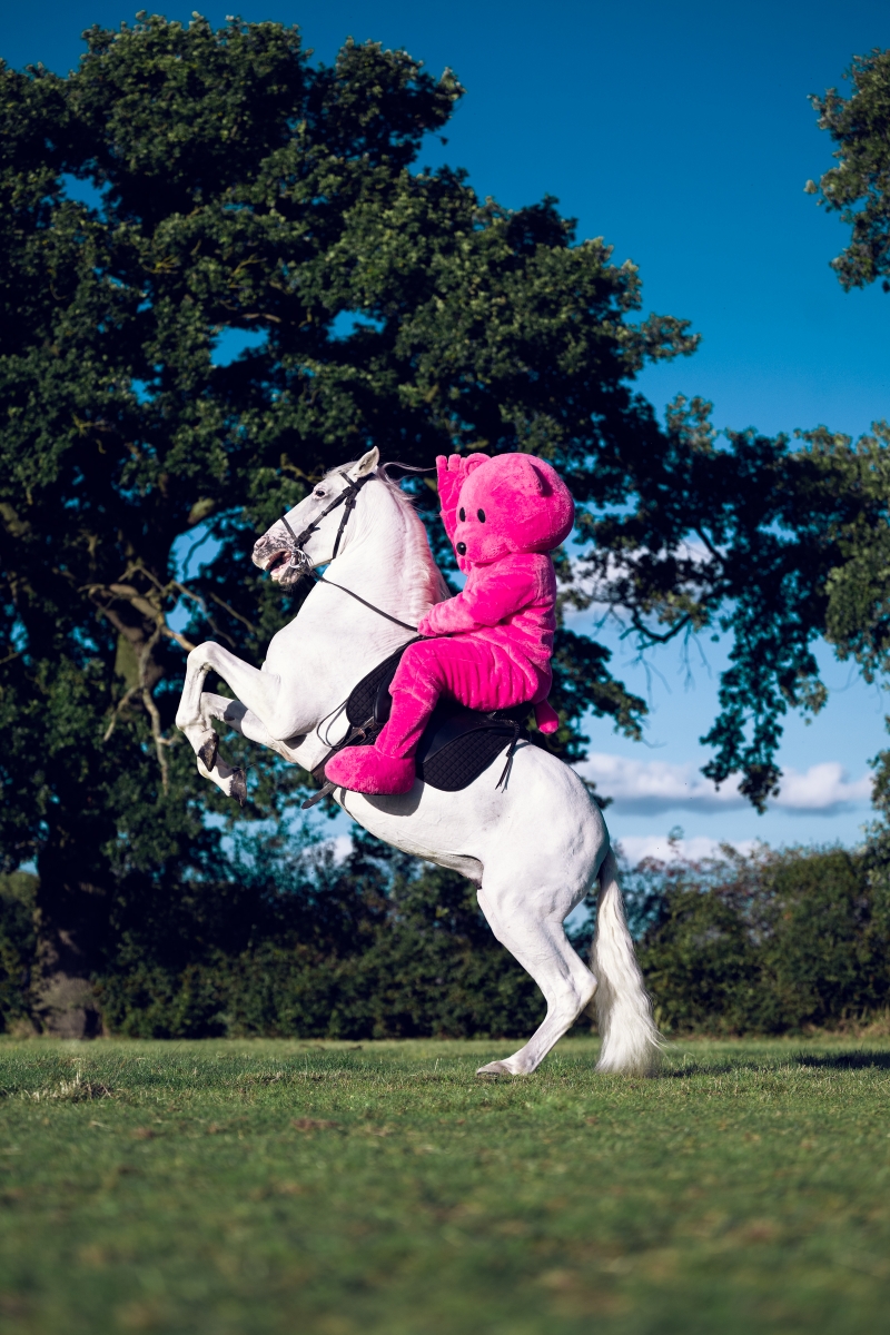 The White Horse, Photography, 2023, from the My Little Pony series