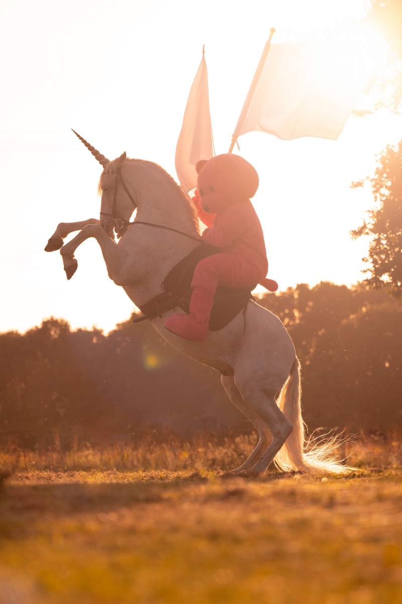 Taming The Unicorn, Photography, 2023, from the My Little Pony series