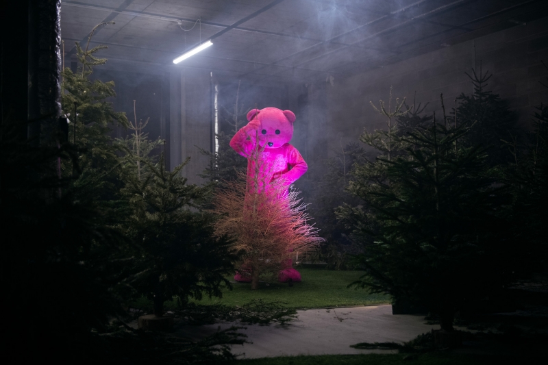Trees Are For Life, Not Just For Christmas