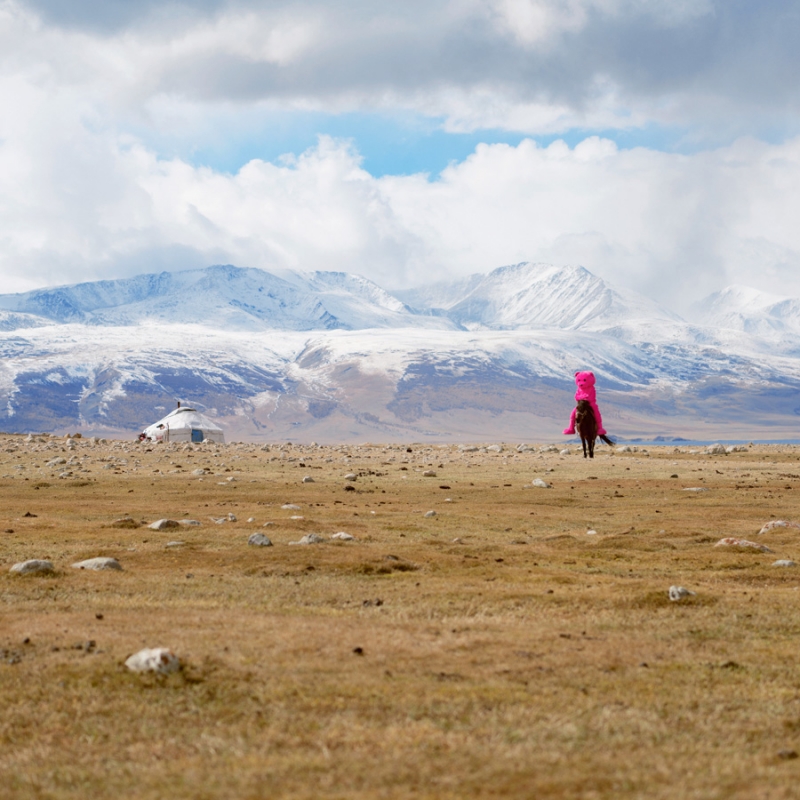 diplomat magazine - mongolia
