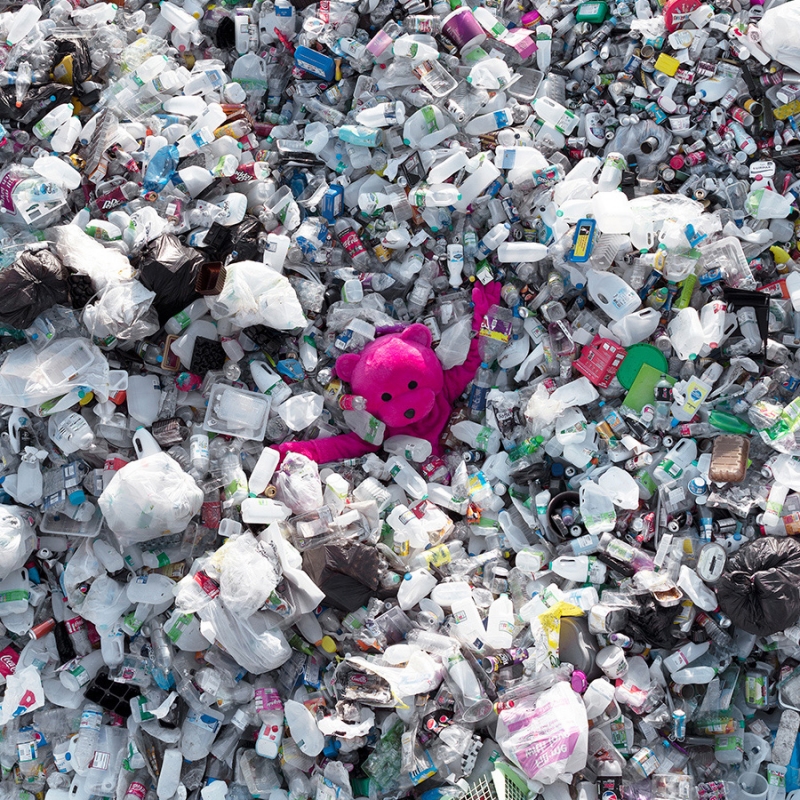 Eco Hustler - The Pink Bear