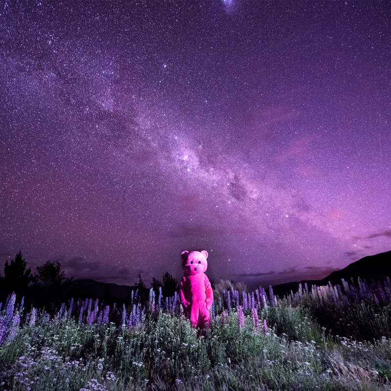 Pink Bear At Christie's