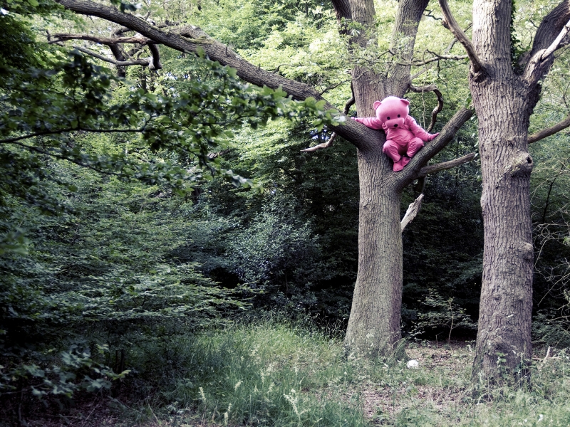 Recollection Of Innocence - Pink Bear Photograph