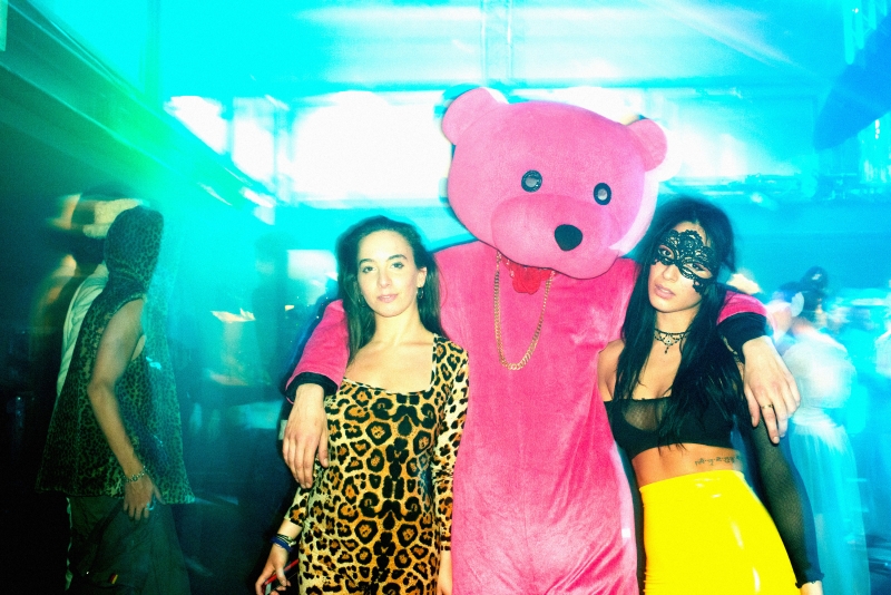 The Pink Bear Makes Its Music Video Debut with DogHaus