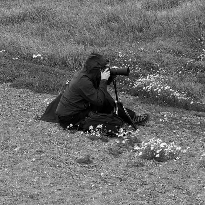 Photographing the Pink Bear in Argentina